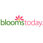 American Blooms American Blooms